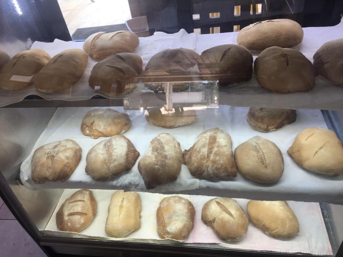 Hotel Restaurant Hamilton بوكا شيكا المظهر الخارجي الصورة